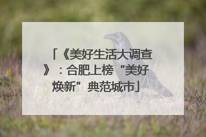 《美好生活大调查》：合肥上榜“美好焕新”典范城市
