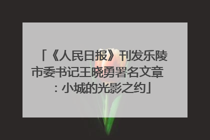 《人民日报》刊发乐陵市委书记王晓勇署名文章：小城的光影之约
