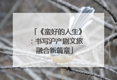 《蛮好的人生》：书写沪产剧文旅融合新篇章