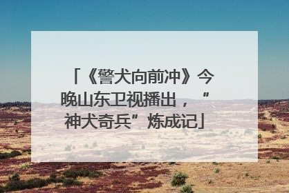 《警犬向前冲》今晚山东卫视播出，“神犬奇兵”炼成记