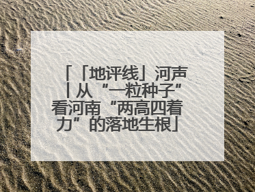 「地评线」河声丨从“一粒种子”看河南“两高四着力”的落地生根