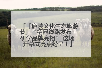 「庐陵文化生态旅游节」“精品线路发布+研学品牌亮相” 这场开幕式亮点纷呈！