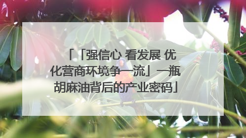「强信心 看发展 优化营商环境争一流」一瓶胡麻油背后的产业密码
