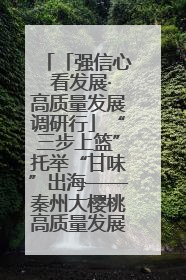 「强信心 看发展·高质量发展调研行」“三步上篮”托举“甘味”出海——秦州大樱桃高质量发展动作分解