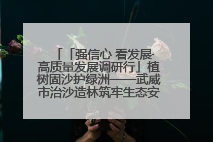 「强信心 看发展·高质量发展调研行」植树固沙护绿洲——武威市治沙造林筑牢生态安全屏障见闻