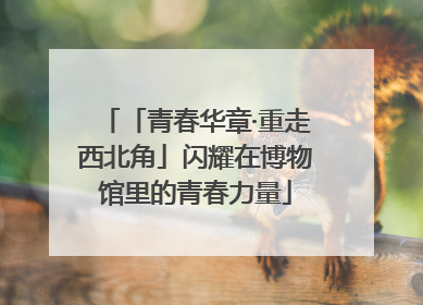 「青春华章·重走西北角」闪耀在博物馆里的青春力量
