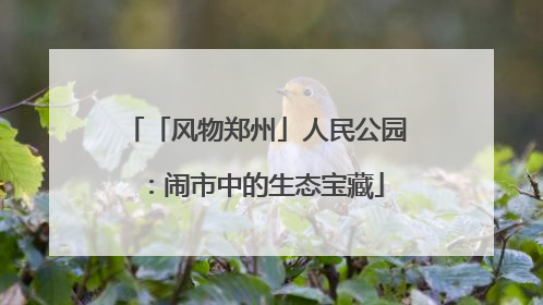 「风物郑州」人民公园：闹市中的生态宝藏