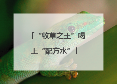 “牧草之王”喝上“配方水”