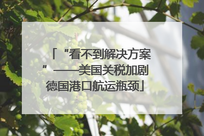 “看不到解决方案”——美国关税加剧德国港口航运瓶颈