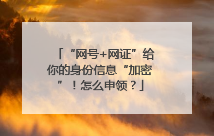 “网号+网证”给你的身份信息“加密”！怎么申领？