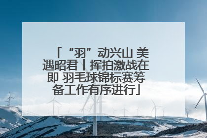 “羽”动兴山 美遇昭君丨挥拍激战在即 羽毛球锦标赛筹备工作有序进行