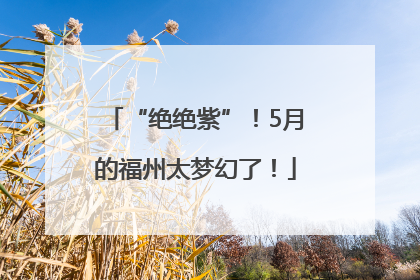 “绝绝紫”！5月的福州太梦幻了！