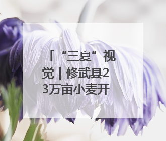 “三夏”视觉｜修武县23万亩小麦开镰 农机昼夜抢收抢种