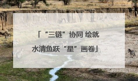 “三链”协同 绘就水清鱼跃“星”画卷