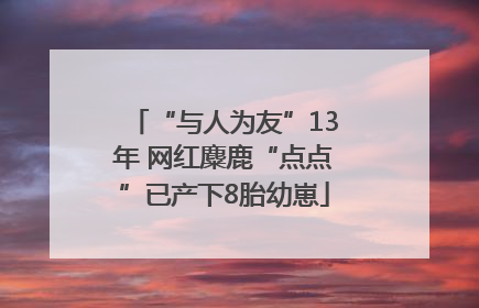 “与人为友”13年 网红麋鹿“点点”已产下8胎幼崽