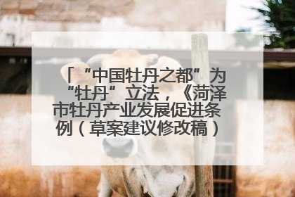 “中国牡丹之都”为“牡丹”立法，《菏泽市牡丹产业发展促进条例（草案建议修改稿）》公开征求意见