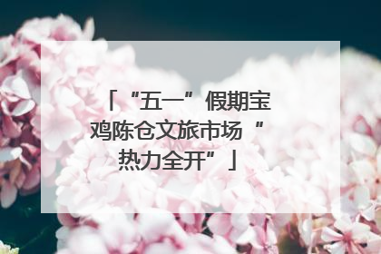 “五一”假期宝鸡陈仓文旅市场“热力全开”