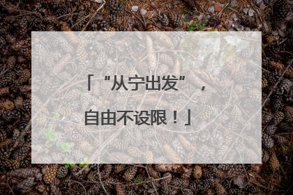 “从宁出发”，自由不设限！
