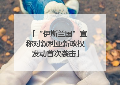 “伊斯兰国”宣称对叙利亚新政权发动首次袭击