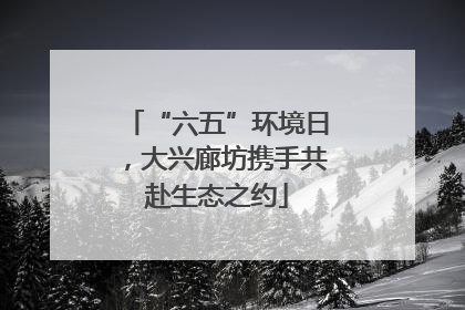 “六五”环境日，大兴廊坊携手共赴生态之约