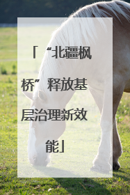 “北疆枫桥”释放基层治理新效能