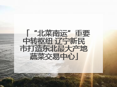 “北菜南运”重要中转枢纽 辽宁新民市打造东北最大产地蔬菜交易中心