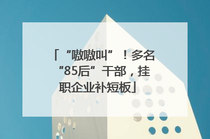 “嗷嗷叫”！多名“85后”干部，挂职企业补短板
