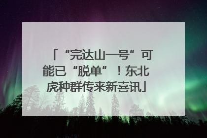 “完达山一号”可能已“脱单”！东北虎种群传来新喜讯