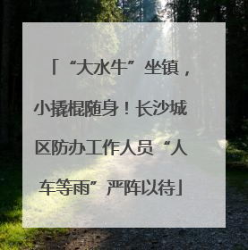 “大水牛”坐镇，小撬棍随身！长沙城区防办工作人员“人车等雨”严阵以待