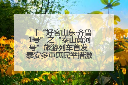 “好客山东·齐鲁1号”之“泰山黄河号”旅游列车首发 泰安多重惠民举措激活文旅消费新动能