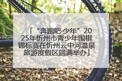 “奔跑吧·少年”2025年忻州市青少年围棋锦标赛在忻州云中河温泉旅游度假区圆满举办