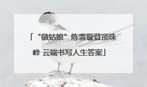 “徽姑娘”陈雪璇登顶珠峰 云端书写人生答案