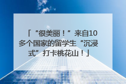“很美丽！”来自10多个国家的留学生“沉浸式”打卡桃花山！