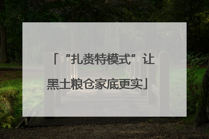 “扎赉特模式”让黑土粮仓家底更实