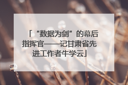 “数据为剑”的幕后指挥官——记甘肃省先进工作者牛学云