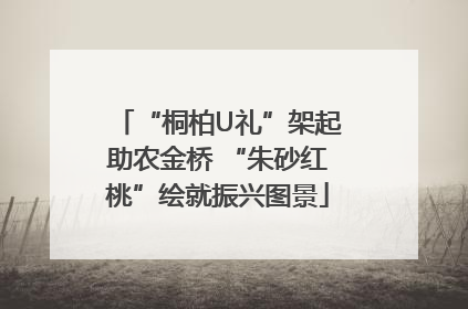 “桐柏U礼”架起助农金桥 “朱砂红桃”绘就振兴图景
