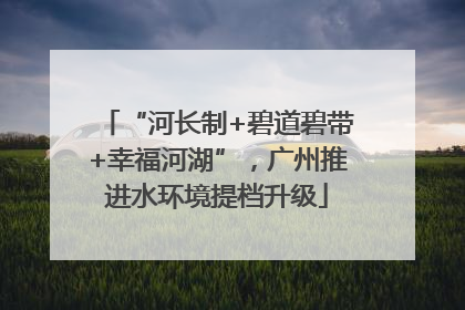 “河长制+碧道碧带+幸福河湖”，广州推进水环境提档升级