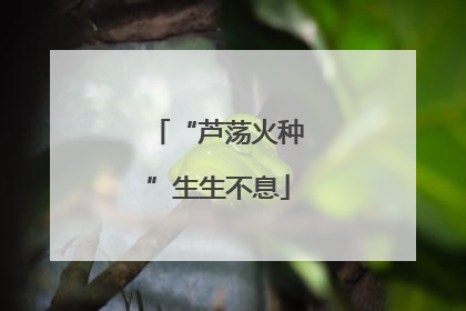 “芦荡火种”生生不息