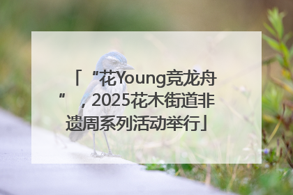 “花Young竞龙舟”，2025花木街道非遗周系列活动举行