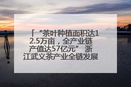 “茶叶种植面积达12.5万亩，全产业链产值达57亿元” 浙江武义茶产业全链发展“加速度”