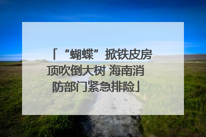 “蝴蝶”掀铁皮房顶吹倒大树 海南消防部门紧急排险