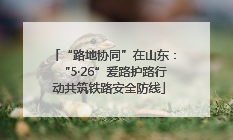 “路地协同”在山东：“5·26”爱路护路行动共筑铁路安全防线