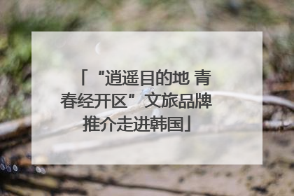 “逍遥目的地 青春经开区”文旅品牌推介走进韩国