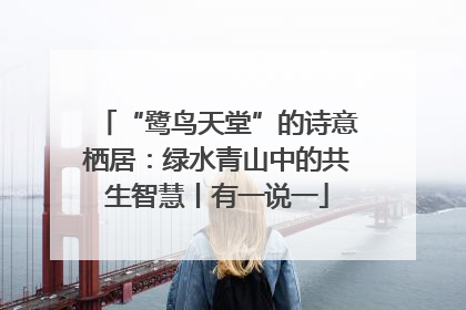 “鹭鸟天堂”的诗意栖居：绿水青山中的共生智慧丨有一说一