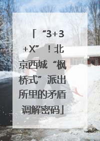“3+3+X”！北京西城“枫桥式”派出所里的矛盾调解密码