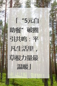 “5元自助餐”破圈引共鸣：平凡生活里，草根力量最温暖