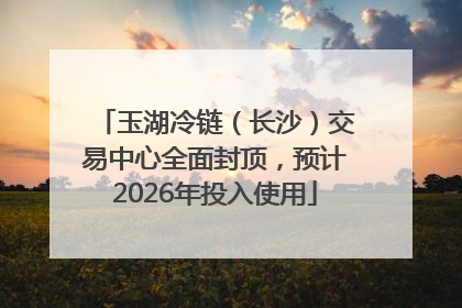 玉湖冷链（长沙）交易中心全面封顶，预计2026年投入使用