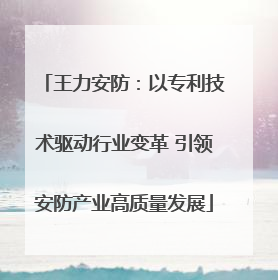 王力安防：以专利技术驱动行业变革 引领安防产业高质量发展