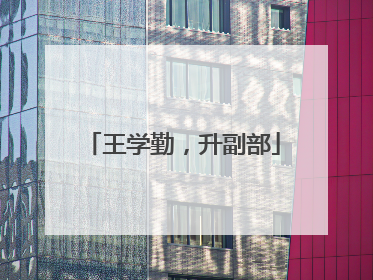 王学勤，升副部