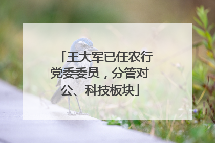 王大军已任农行党委委员，分管对公、科技板块